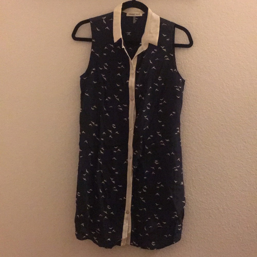 Amour Vert sleeveless Shirt Dress NWOT 100% silk